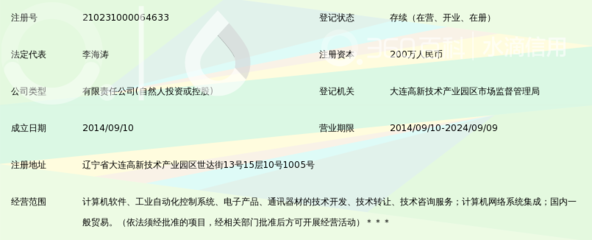 大连连云海网络科技 在数字化转型浪潮中的智慧引擎